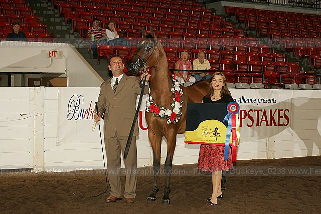 Proof 06buckeye_0238