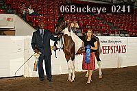 06buckeye_0241 proof
