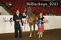 06buckeye_0243 proof