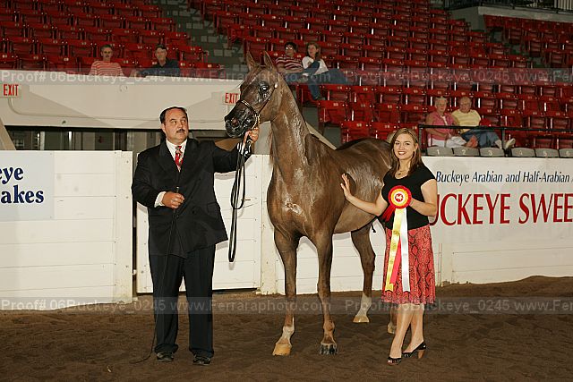 Proof 06buckeye_0245