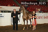 06buckeye_0245 proof