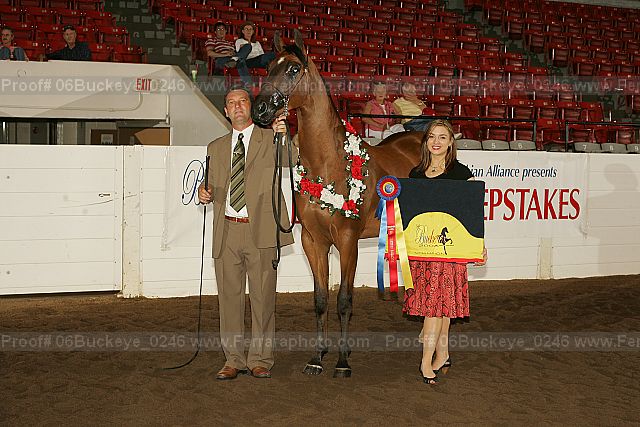 Proof 06buckeye_0246