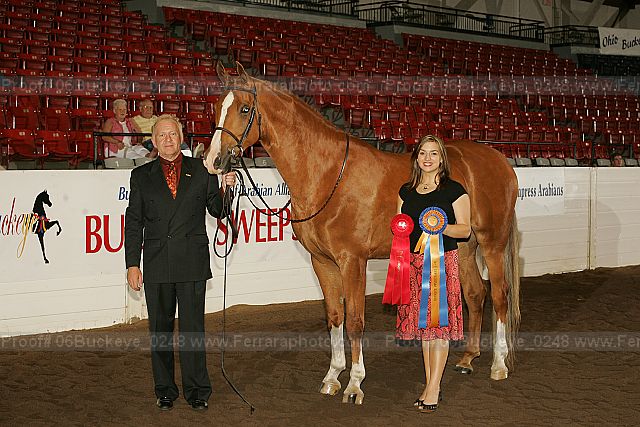 Proof 06buckeye_0248