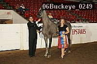 06buckeye_0249 proof