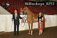 06buckeye_0253 proof