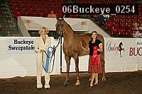 06buckeye_0254 proof