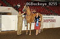 06buckeye_0255 proof