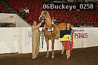06buckeye_0258 proof