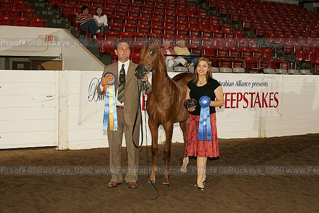 Proof 06buckeye_0260
