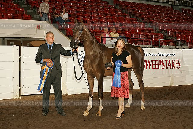 Proof 06buckeye_0262