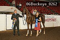 06buckeye_0262 proof