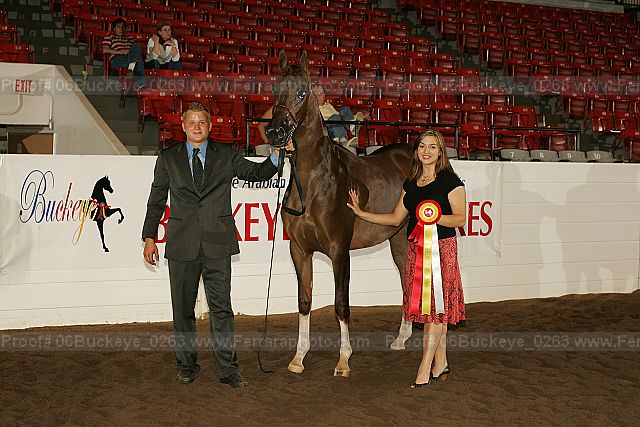 Proof 06buckeye_0263