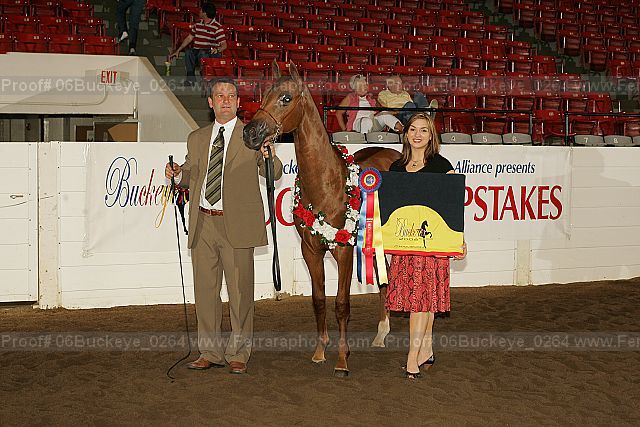 Proof 06buckeye_0264