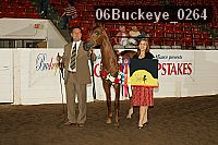 06buckeye_0264 proof