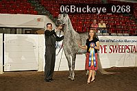 06buckeye_0268 proof