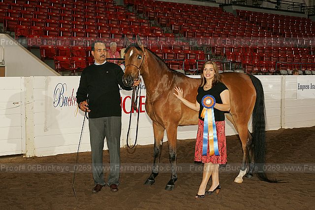 Proof 06buckeye_0269
