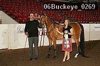 06buckeye_0269 proof