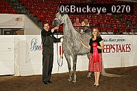 06buckeye_0270 proof