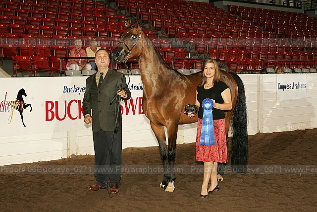 Proof 06buckeye_0271