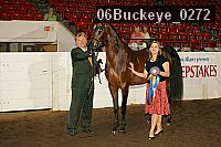 06buckeye_0272 proof