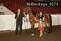 06buckeye_0274 proof