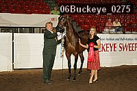06buckeye_0275 proof