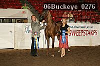 06buckeye_0276 proof