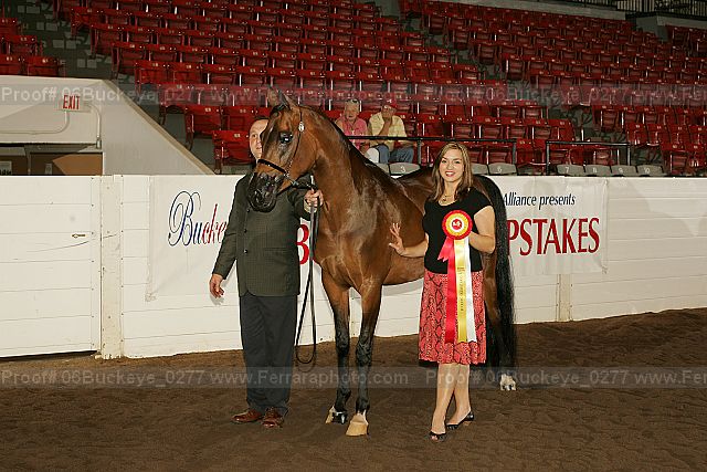 Proof 06buckeye_0277