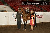 06buckeye_0277 proof