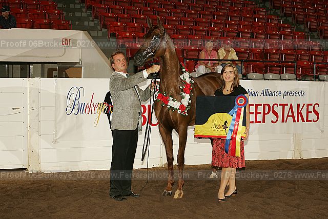 Proof 06buckeye_0278