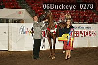 06buckeye_0278 proof