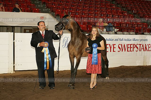 Proof 06buckeye_0280