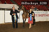 06buckeye_0280 proof