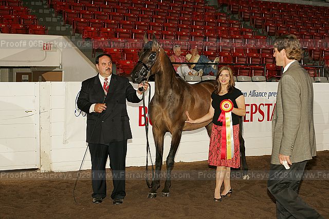 Proof 06buckeye_0281