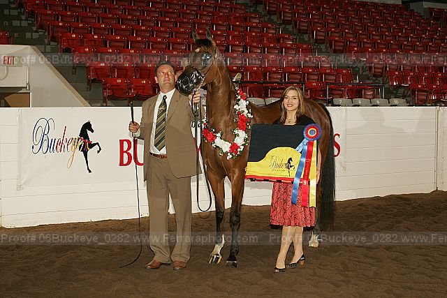 Proof 06buckeye_0282
