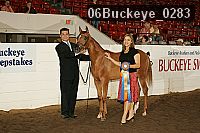06buckeye_0283 proof