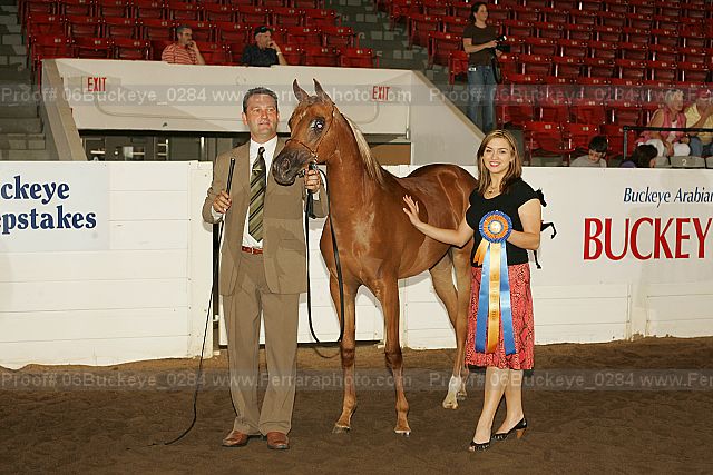 Proof 06buckeye_0284