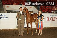 06buckeye_0284 proof