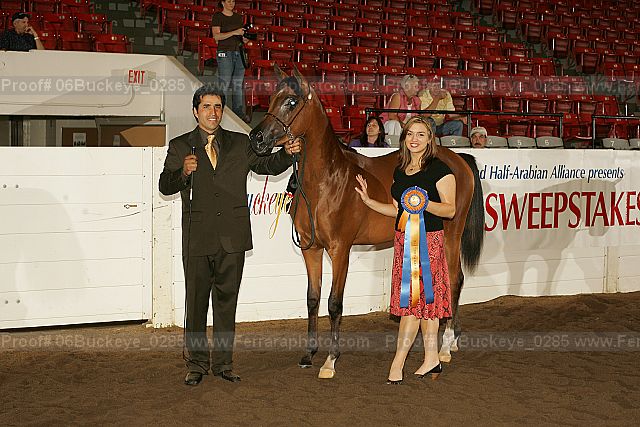 Proof 06buckeye_0285