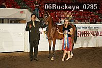 06buckeye_0285 proof