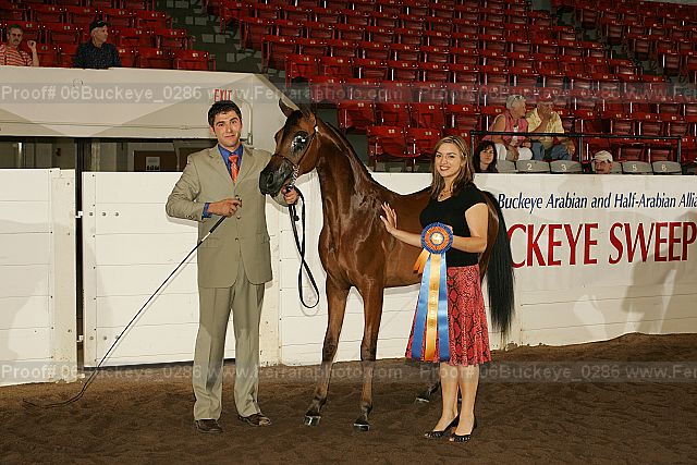 Proof 06buckeye_0286