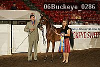 06buckeye_0286 proof