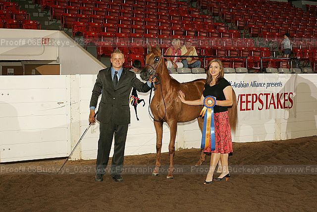 Proof 06buckeye_0287
