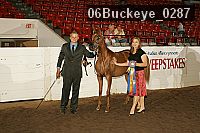 06buckeye_0287 proof