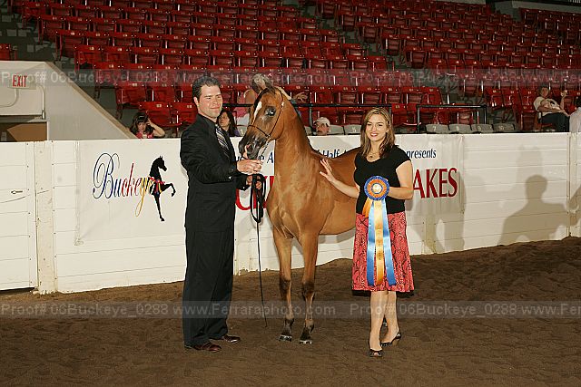 Proof 06buckeye_0288