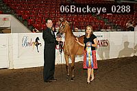 06buckeye_0288 proof