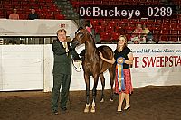 06buckeye_0289 proof