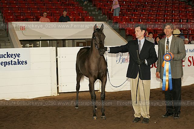 Proof 06buckeye_0290