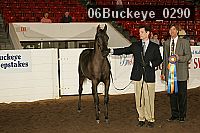 06buckeye_0290 proof