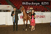 06buckeye_0291 proof